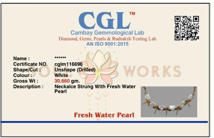Dragonfly mother of pearl necklace - Image 6