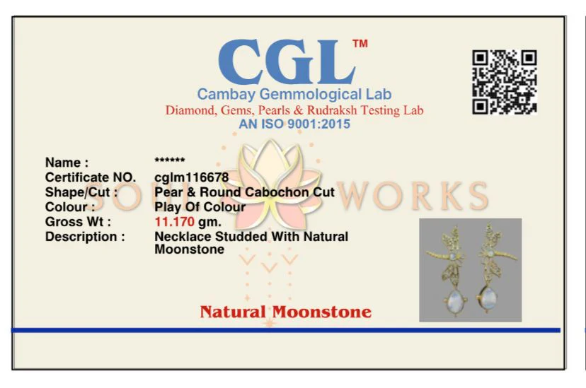 Dragonfly moonstone drop brass earrings - Image 7