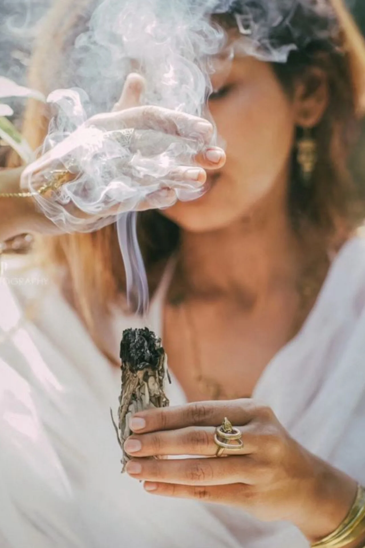 California white sage - Image 4