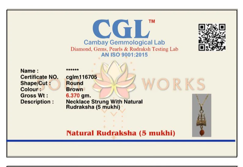 Trishul rudra pendant chain - Image 6